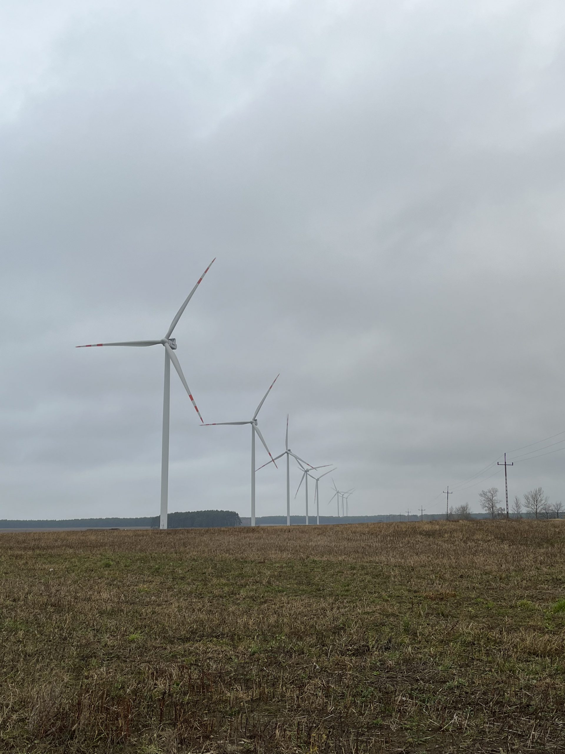 WIND FARM BIAŁY BÓR